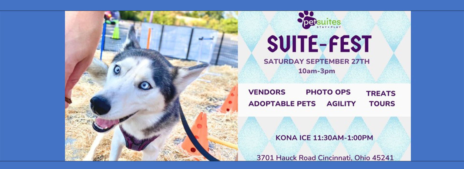 Husky Dog and PetSuites logo